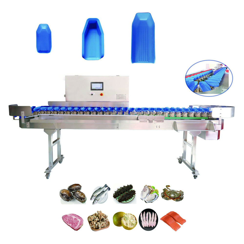 Automatic poultry weight grading machine